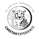 Cheetah Experience Logo